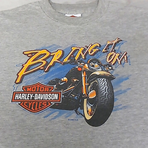 Harley Davidson..Tee..Sz L 14-16..Gray - Picture 2 of 6